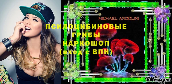 МДМА Бородино