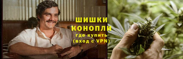 ПСИЛОЦИБИНОВЫЕ ГРИБЫ Бугульма