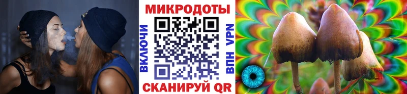 Галлюциногенные грибы мухоморы  где можно купить наркотик  Жигулёвск 